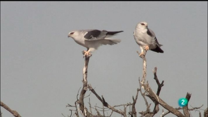 Biodiario - Biodiario - 11/10/11