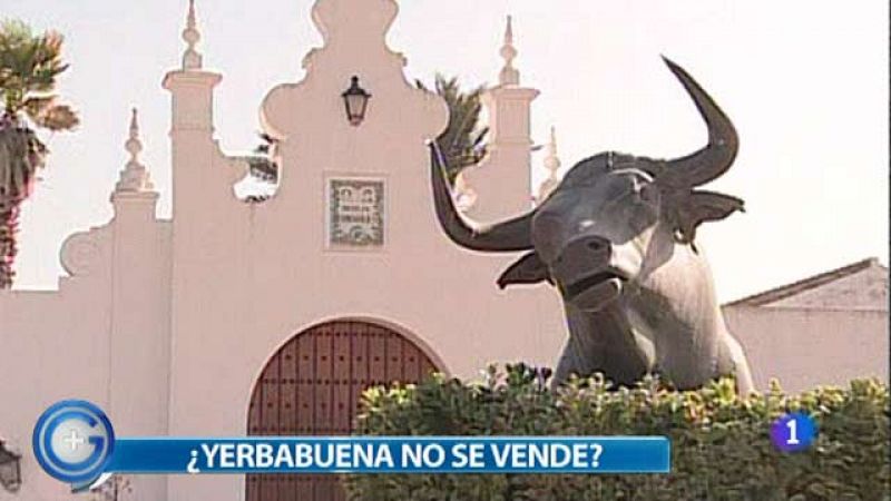 Ortega Cano no pierde Yerbabuena