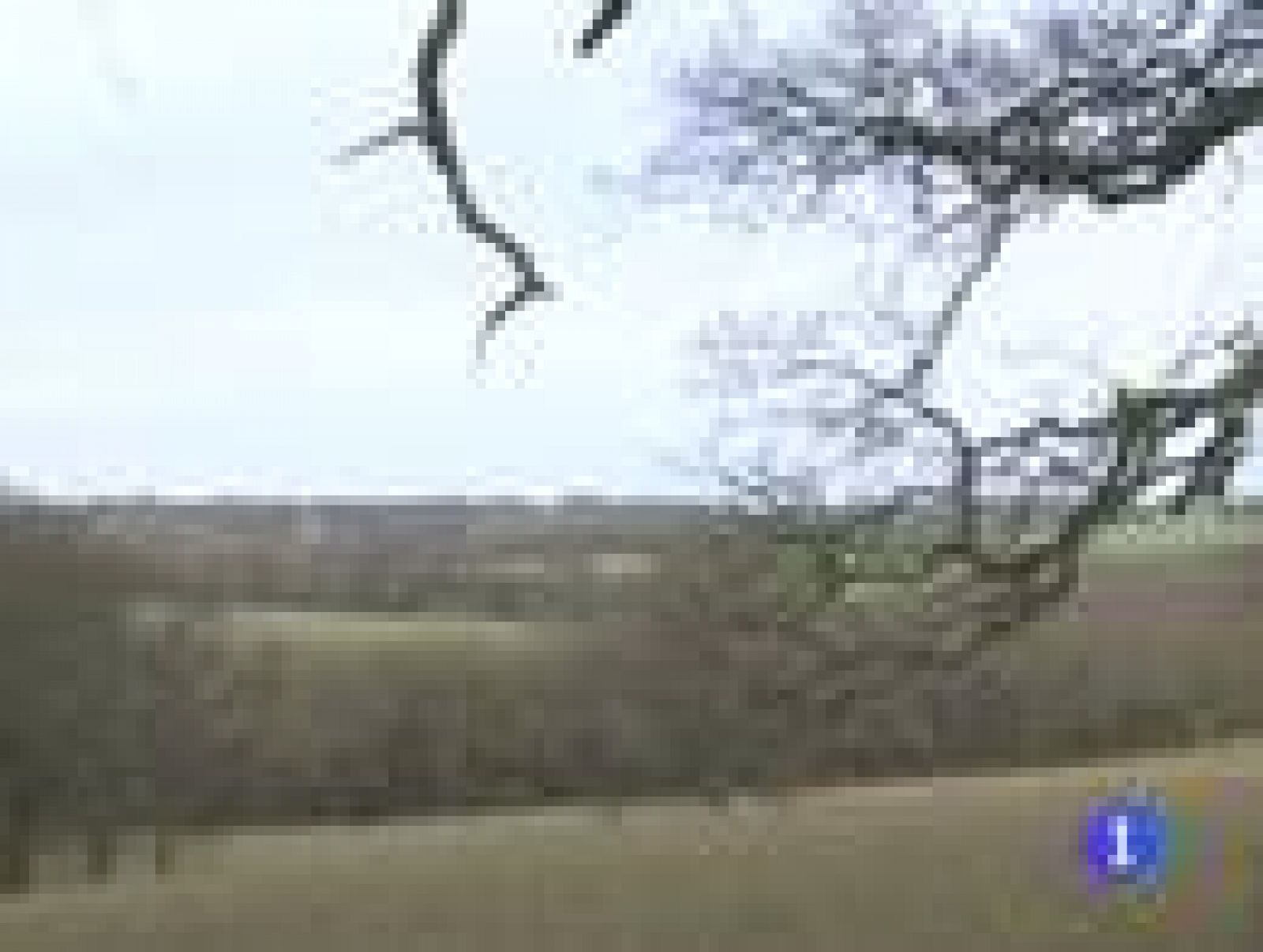 Bruselas valorará la sostenibilidad en la agricultura para conceder ayudas