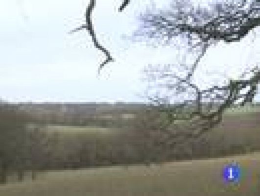 Telediario 1 - La nueva PAC