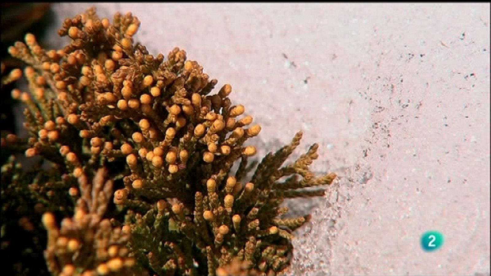 Biodiario - 12/10/11 - Ver ahora