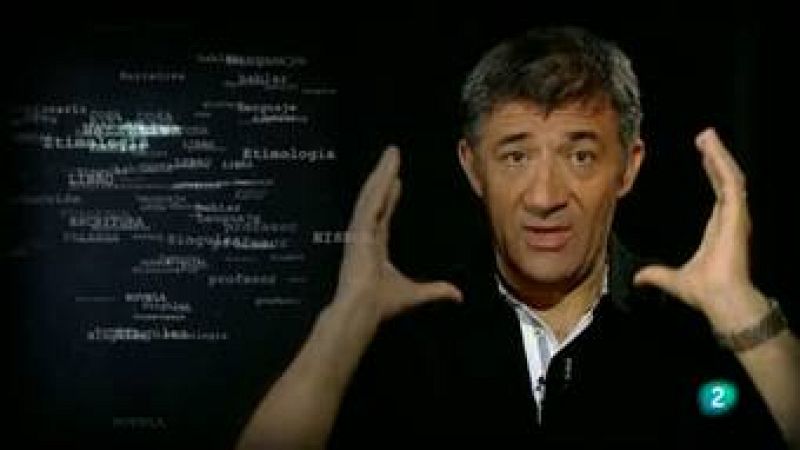  Para todos La 2 - El origen de las palabras - La cabeza
