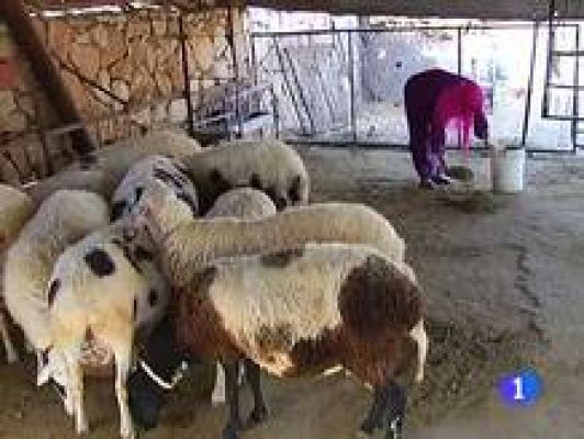 Telediario 1 - Israel ordena demoler un proyecto de la cooperación española en Cisjordania