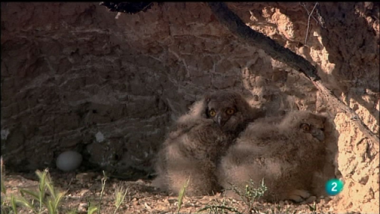 Biodiario - 14/10/11 - Ver ahora