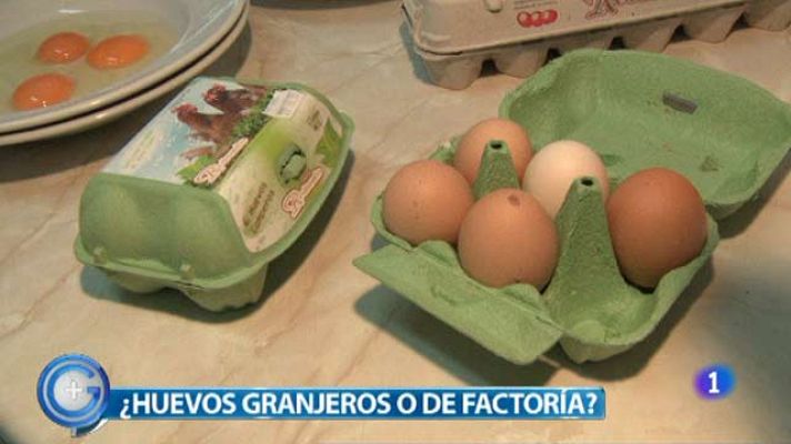 +Gente - ¿Huevos ecológicos o de factoría?