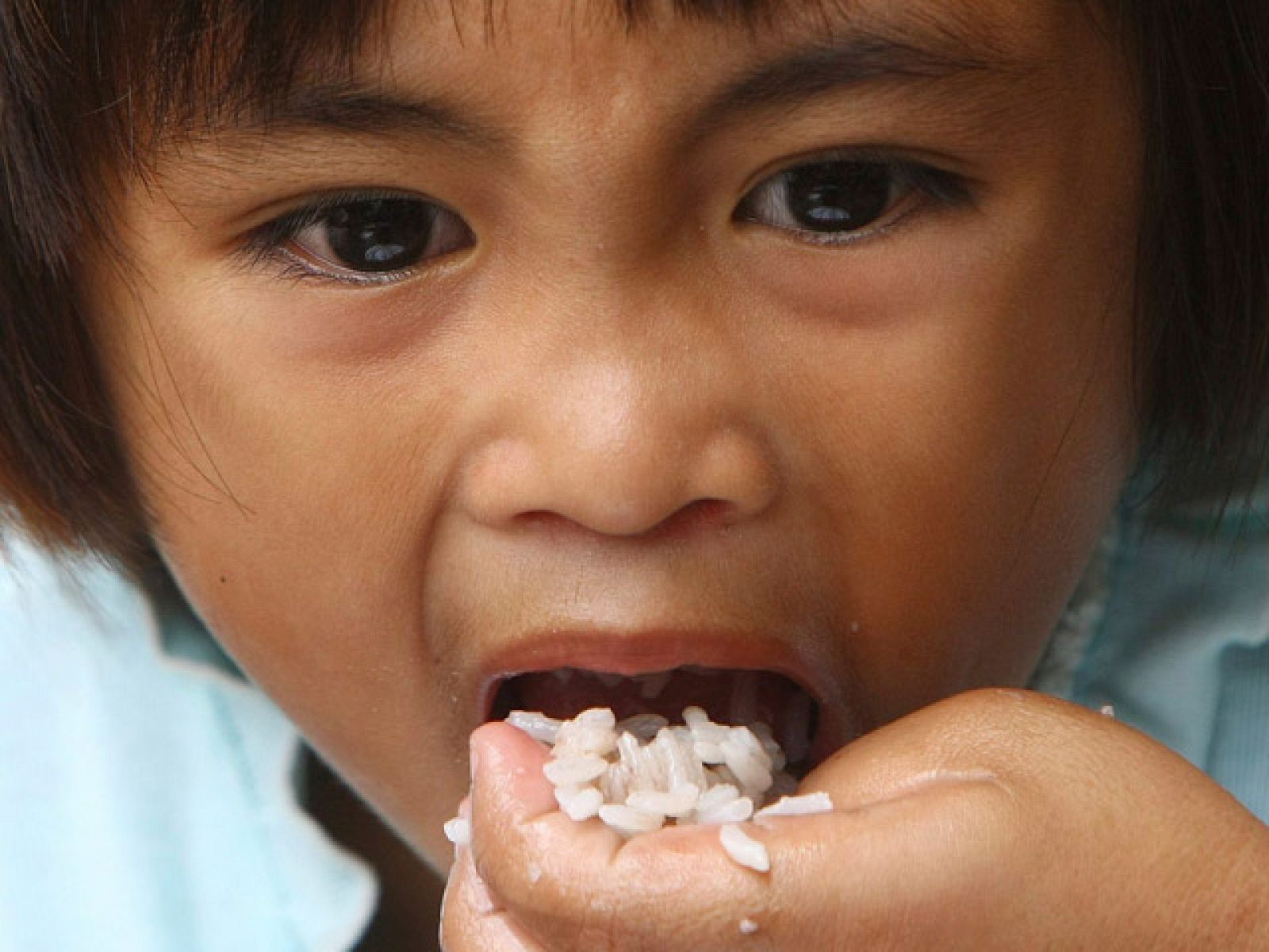 Aumento del hambre crónico y de las hambrunas