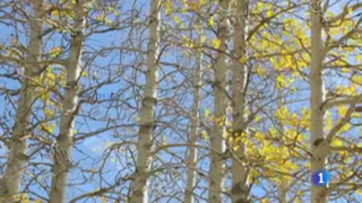 El tiempo - Buenas temperaturas en toda España