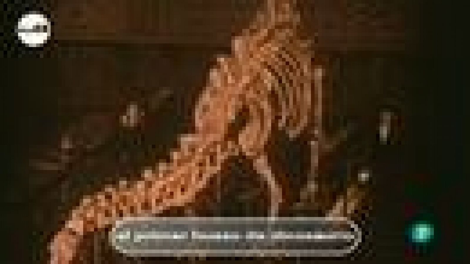 tres14 - dinosaurios - el primer hueso de dinosaurio