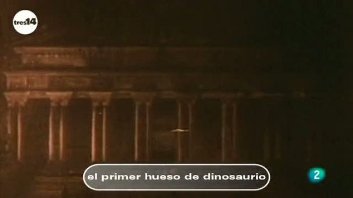 tres14 - El primer hueso de dinosaurio