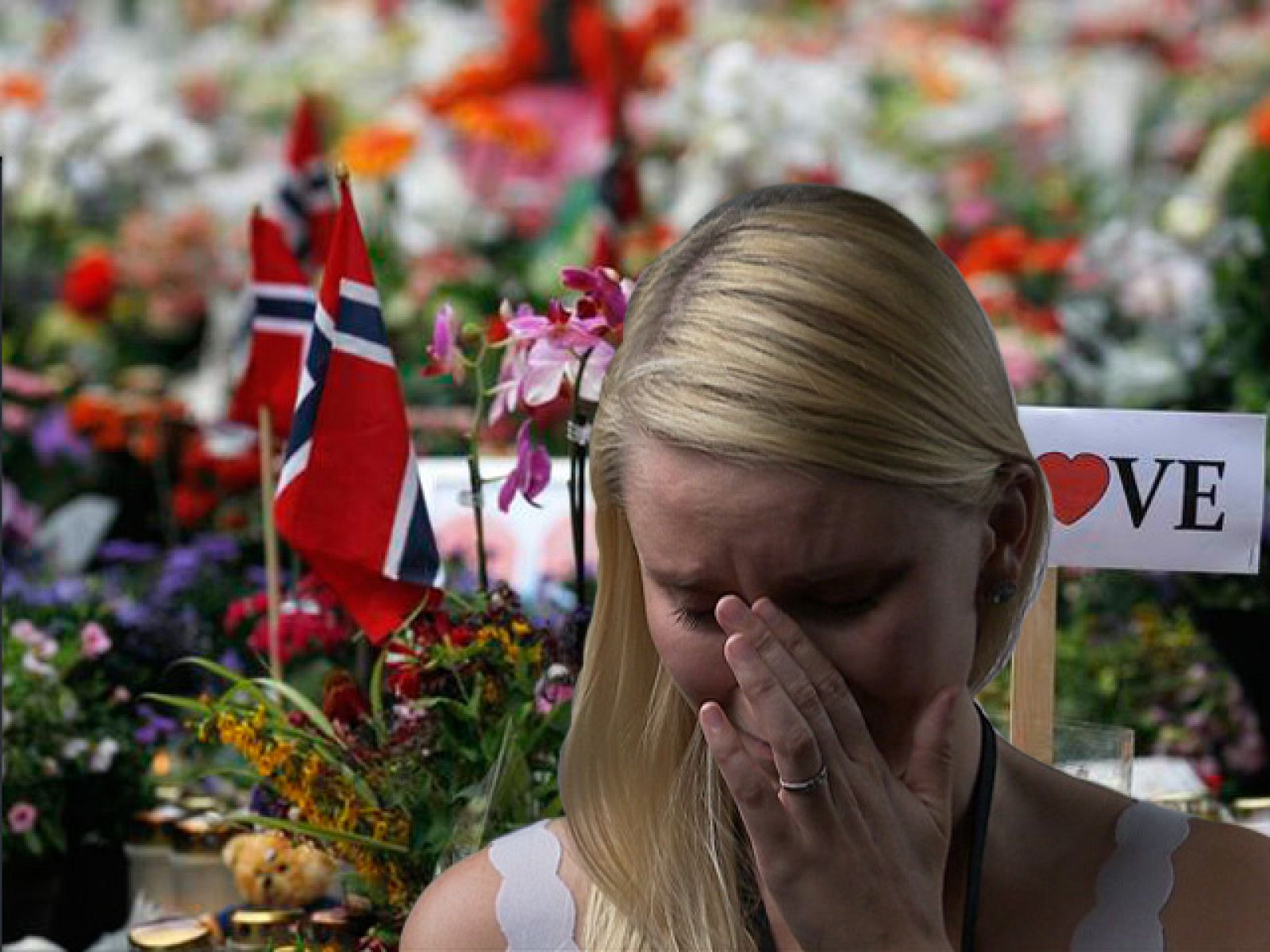 Documentos TV - La isla del terror - Avance - Documentos TV | Ver