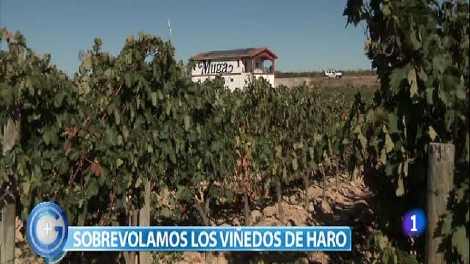 Más Gente - Más Cocina - El reto del choripán