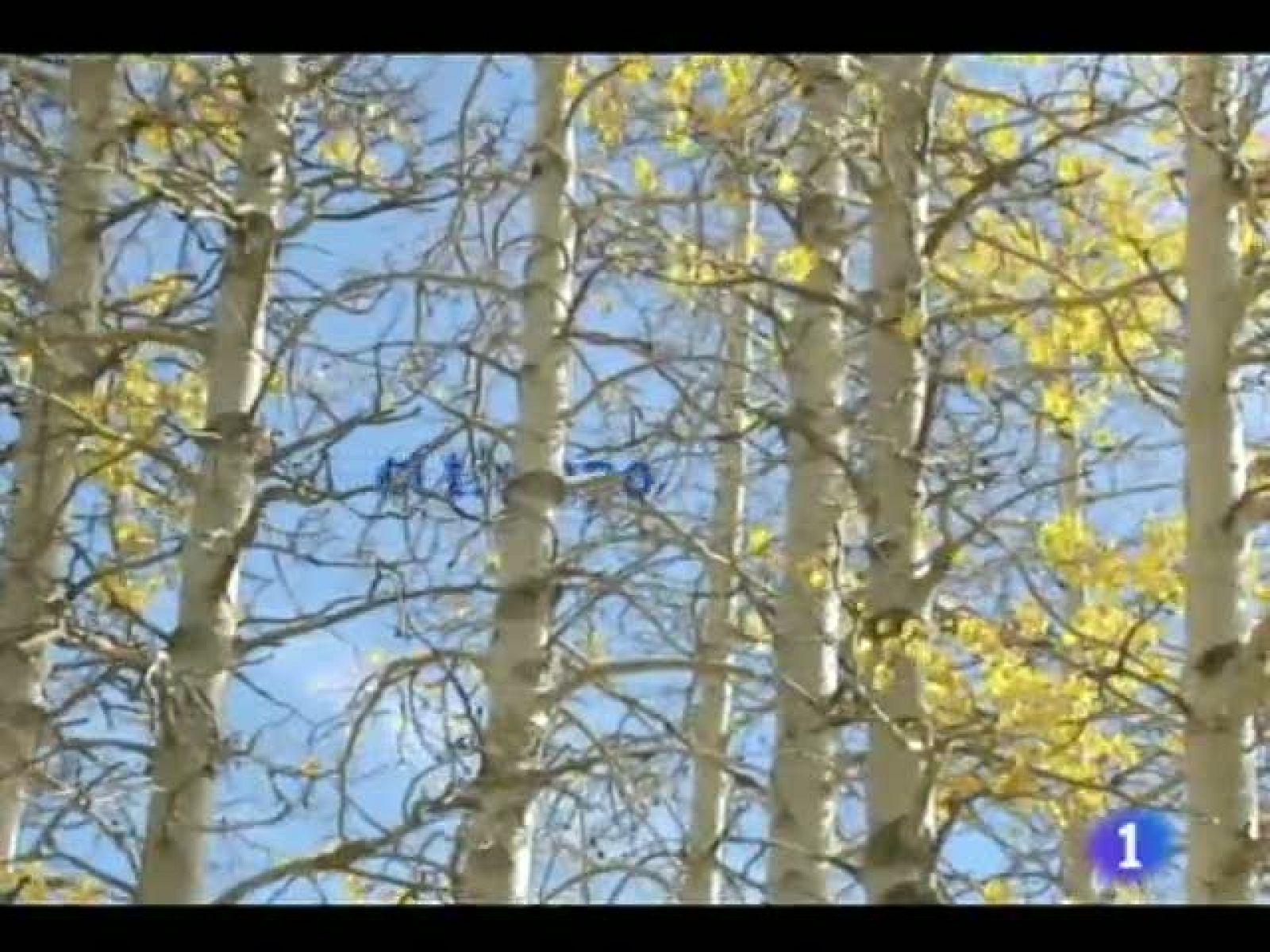 El Tiempo en Castilla y León - 17/10/11