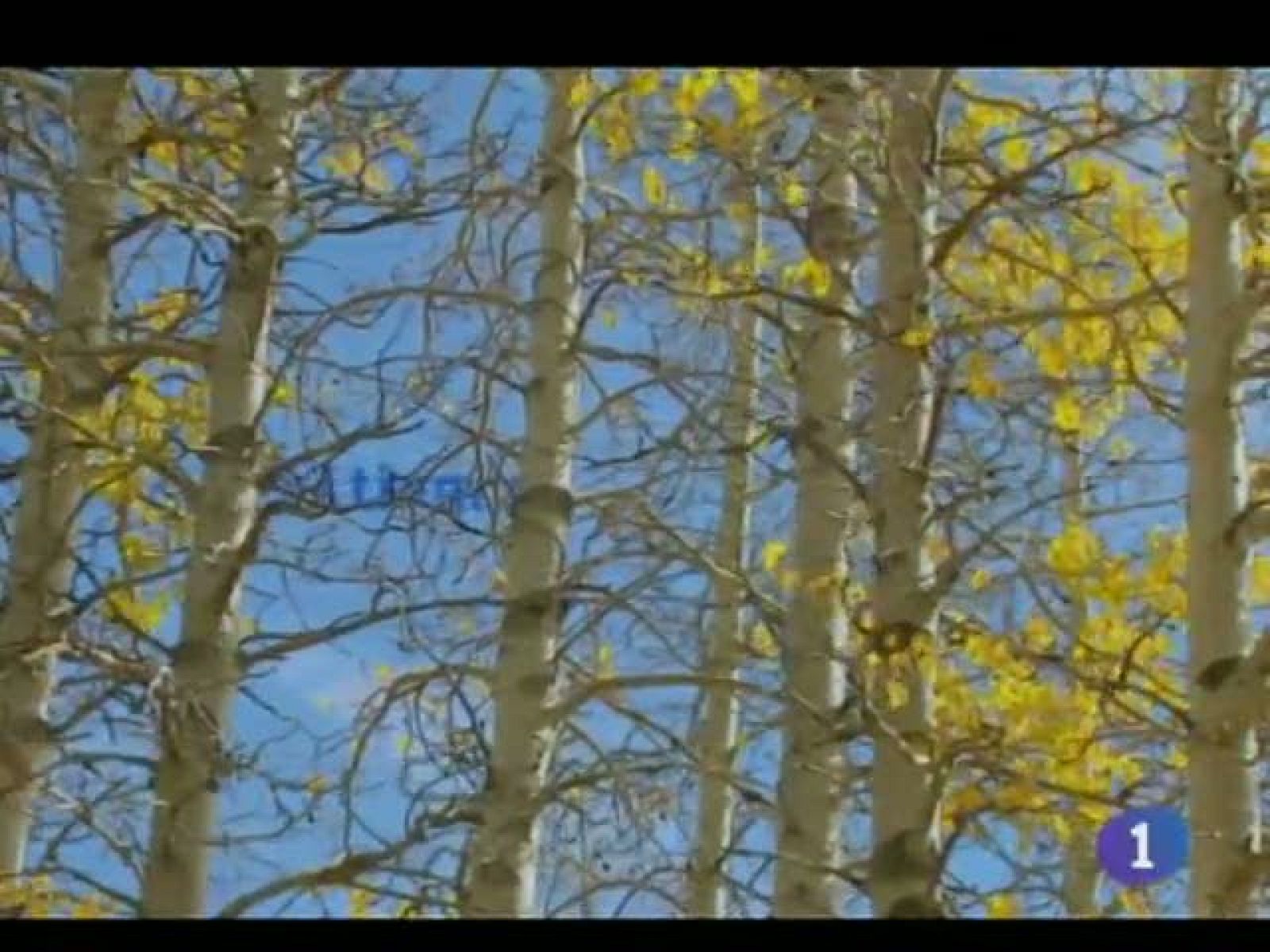 El Tiempo en Castilla La Mancha - 17/10/11 | Ver