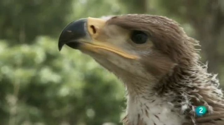 Biodiario - Biodiario - 17/10/11