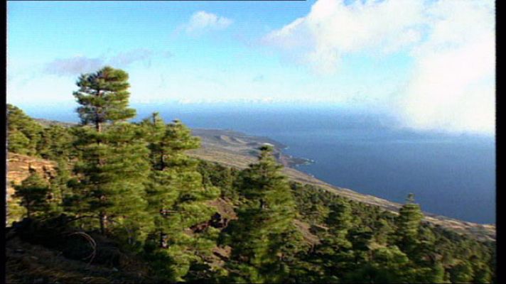 El escarabajo verde - La séptima isla