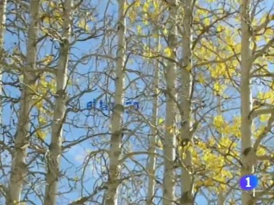 Noticias Andalucía - El tiempo en Andalucía 19/10/11