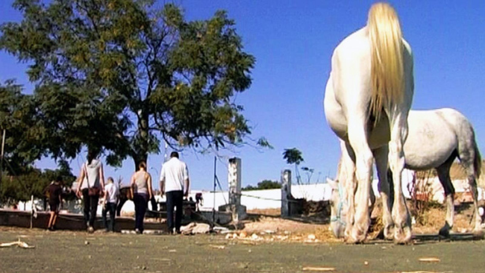 Comando Actualidad - ¿Marcados por el barrio? - Los colorines