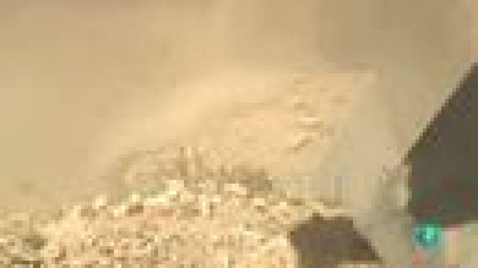 La aventura del saber. Reportaje: Morille