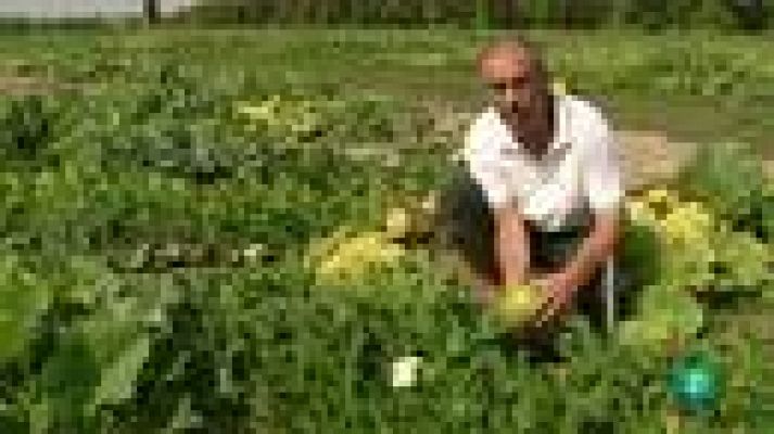 Para todos La 2 - Comidas foráneas