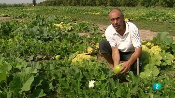 Para todos La 2 - Comidas foráneas
