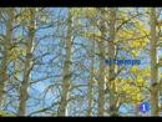 Telecanarias - El tiempo en Canarias - 21/10/11