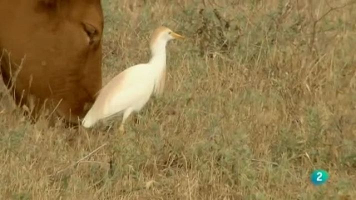 Biodiario - Biodiario - 21/10/11