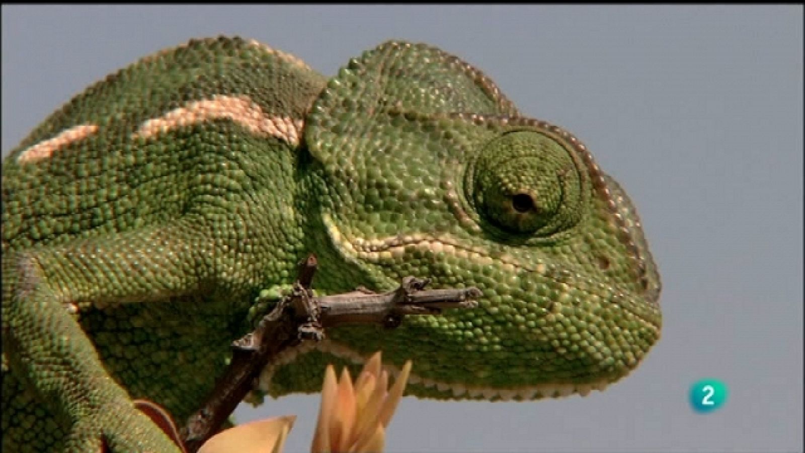 Biodiario - 23/10/11 - Ver ahora