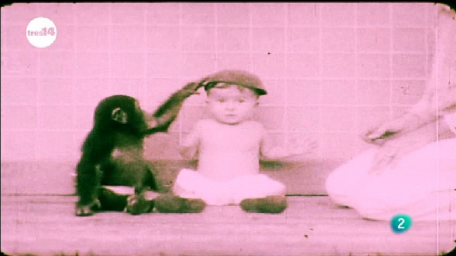 tres14 - ¿Quién soy?