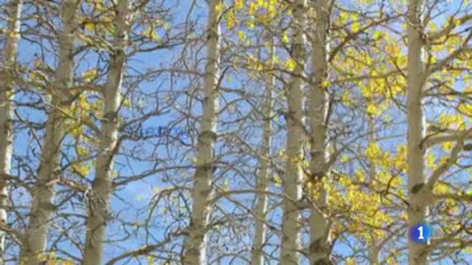 Casi 50 provincias empezarán la semana en alerta por fuertes lluvias y vientos - El tiempo | Ver