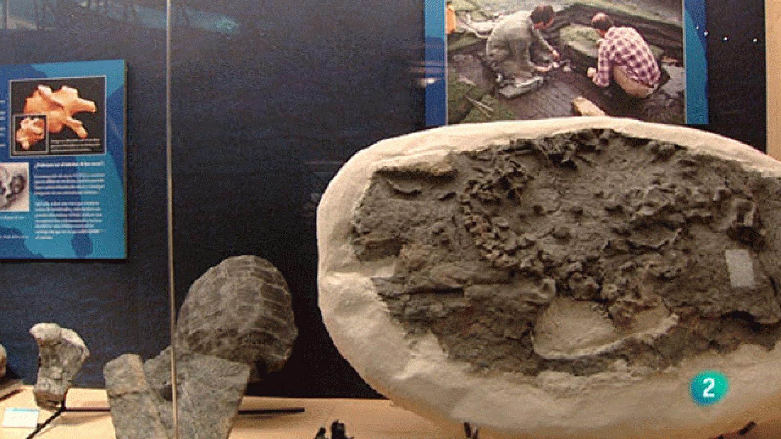 La aventura del saber. Museo Jurásico de Asturias