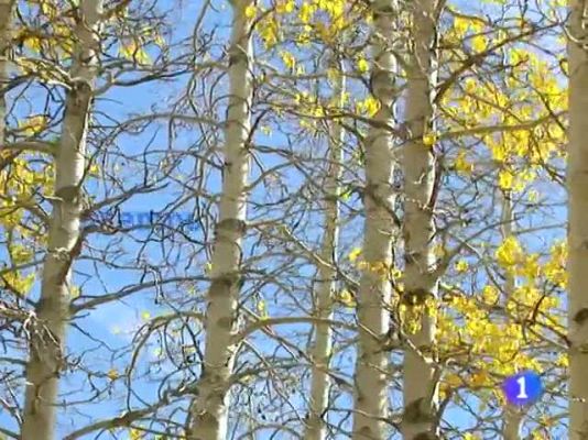 Telexornal - Galicia - El tiempo en la Comunidad de Galicia - 24/10/11