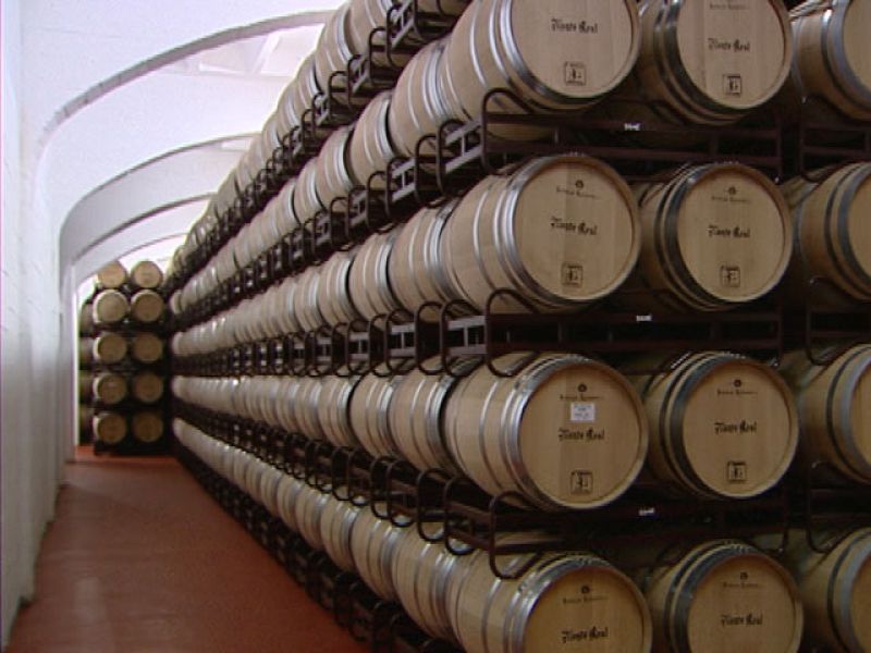 Las exportaciones del vino han crecido un 30%