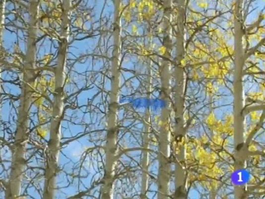 Noticias Andalucía - El tiempo en Andalucía - 24/10/11