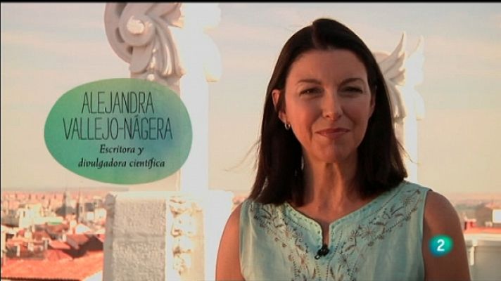 La felicidad (en cuatro minutos) - Saber mirar