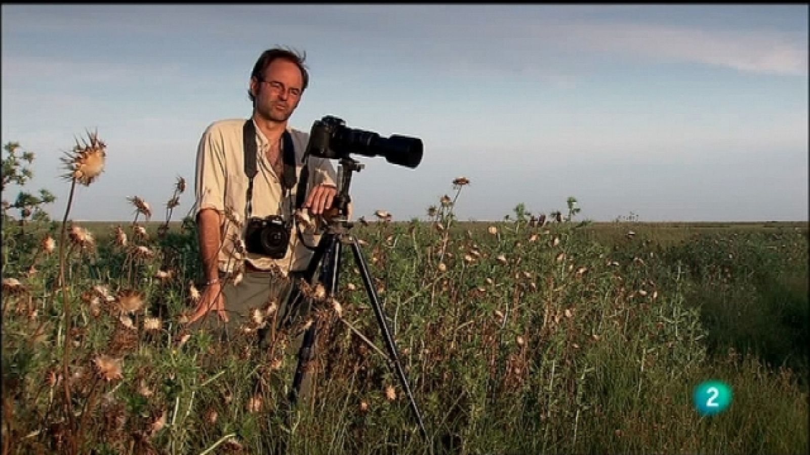 Biodiario - 24/10/11 - Ver ahora