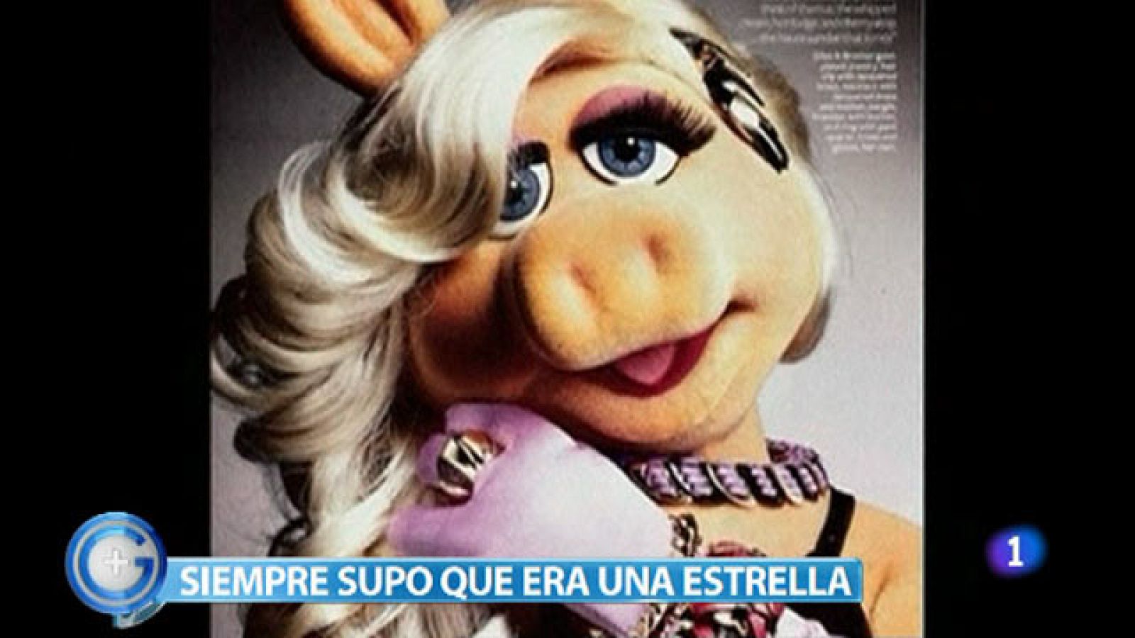 Más Gente - La cerdita Peggy se convierte en modelo de revista