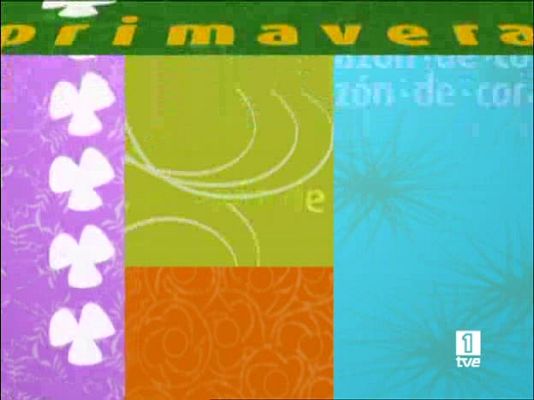 D Corazón - Corazón de primavera - 04/06/08