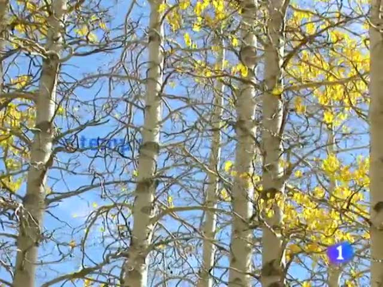 El tiempo en la Comunidad de Galicia - 25/10/11