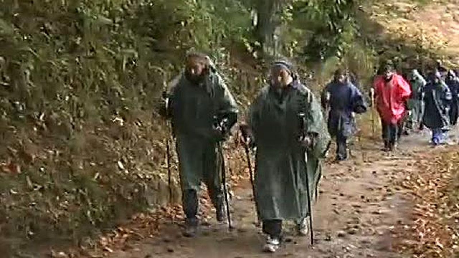 Las chicas de la 'sincro' peregrinan a Santiago | Ver