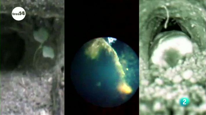 tres14 - Sin apenas oxigeno