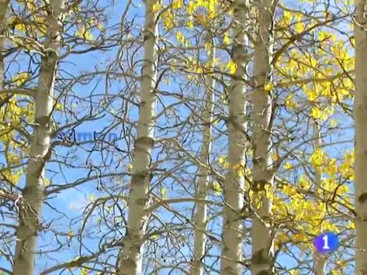 Telexornal - Galicia - El tiempo en Galicia - 26/10/11