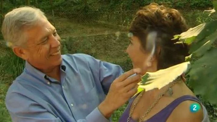 Para todos La 2 - La curación cuántica