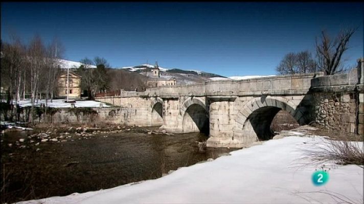 Biodiario - Biodiario - 26/10/11