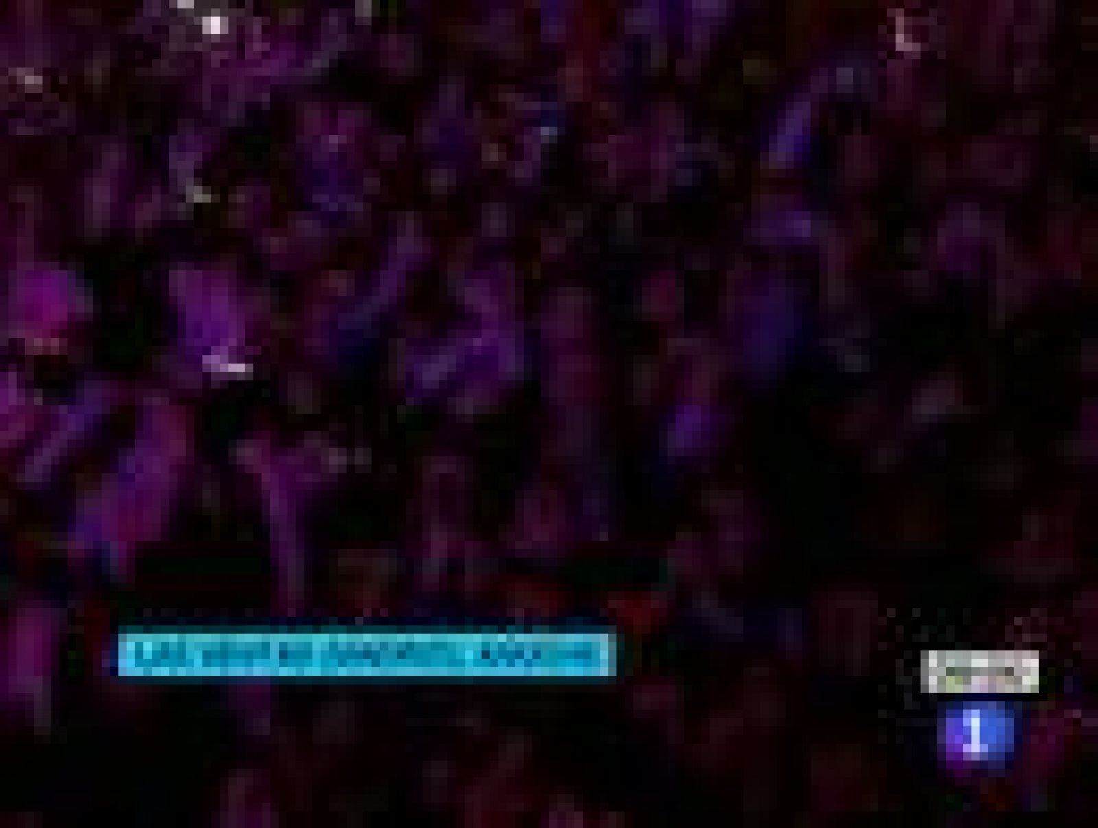 Telediario 1: Más de 16.000 personas corean las canciones de Coldplay en las Ventas | RTVE Play