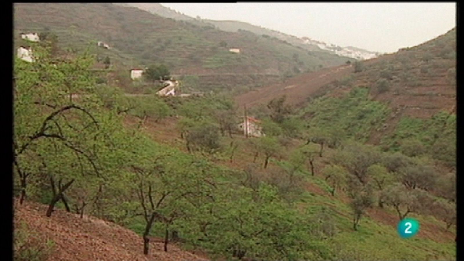 La aventura del saber - 27/10/11 - Ver ahora