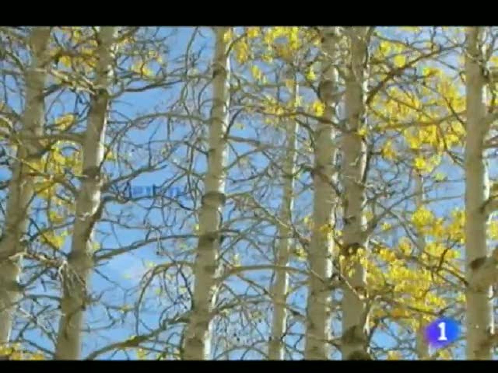 El tiempo en la Región de Murcia. (27/10/2011).