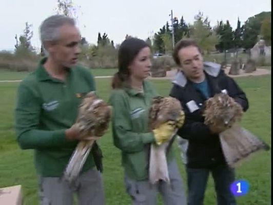 Noticias Aragón - Noticias Aragón - 27/10/11