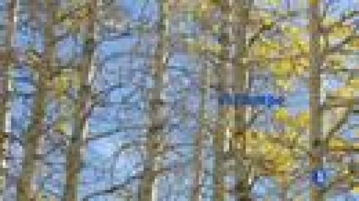 El tiempo - Inestabilidad generalizada