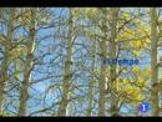 Telecanarias - El tiempo en Canarias - 28/10/11