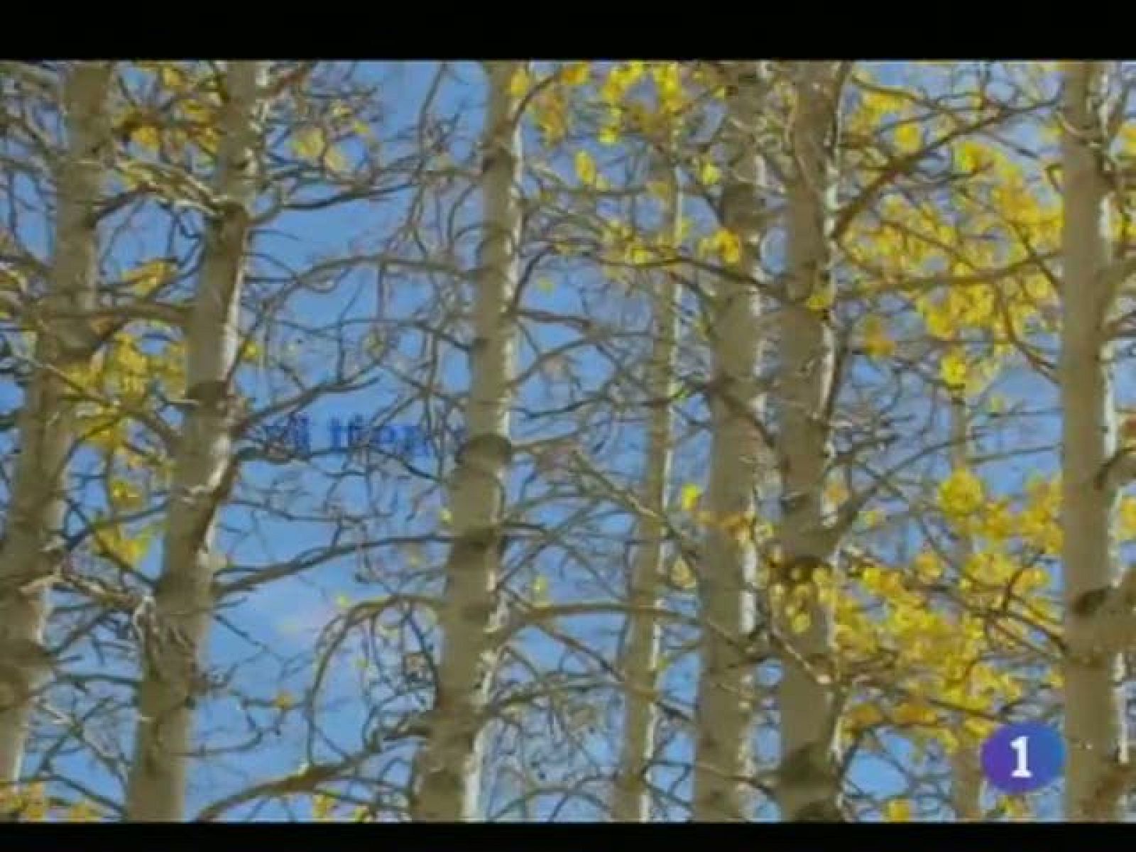 El tiempo en Castilla-La Mancha - 28/10/11 | Ver